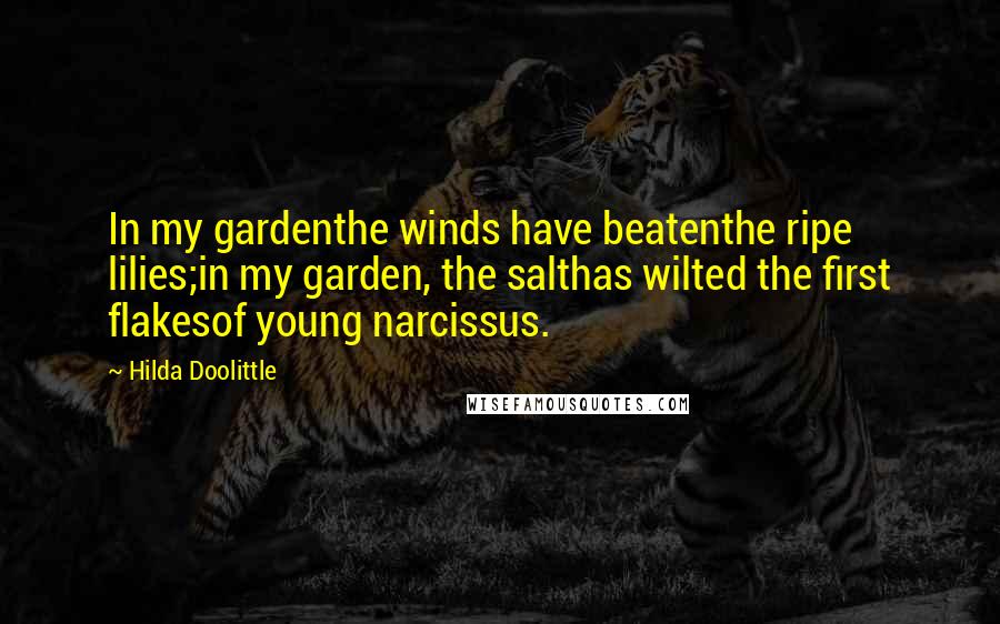 Hilda Doolittle Quotes: In my gardenthe winds have beatenthe ripe lilies;in my garden, the salthas wilted the first flakesof young narcissus.