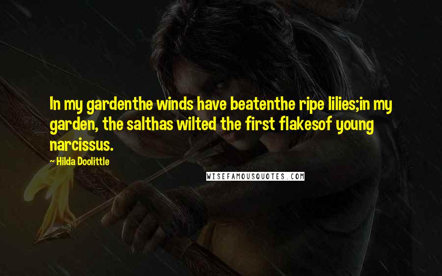 Hilda Doolittle Quotes: In my gardenthe winds have beatenthe ripe lilies;in my garden, the salthas wilted the first flakesof young narcissus.