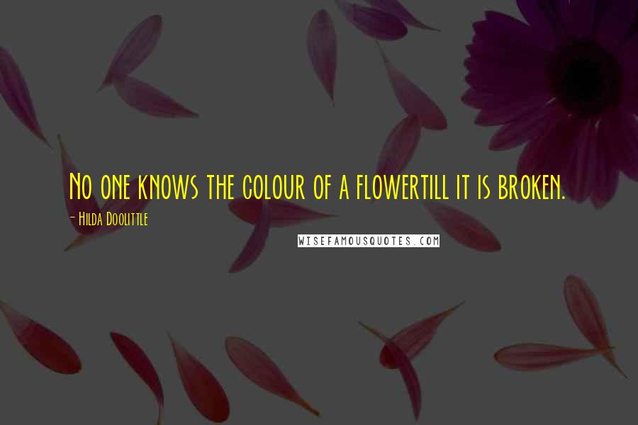 Hilda Doolittle Quotes: No one knows the colour of a flowertill it is broken.