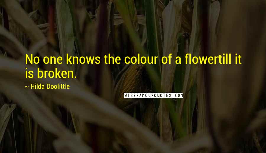 Hilda Doolittle Quotes: No one knows the colour of a flowertill it is broken.