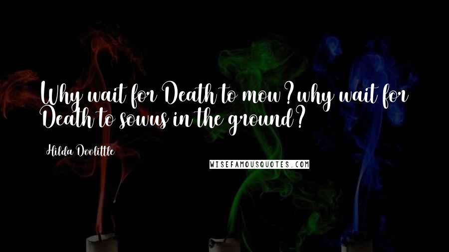 Hilda Doolittle Quotes: Why wait for Death to mow?why wait for Death to sowus in the ground?