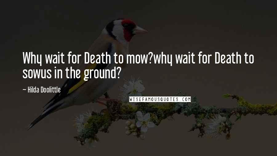 Hilda Doolittle Quotes: Why wait for Death to mow?why wait for Death to sowus in the ground?