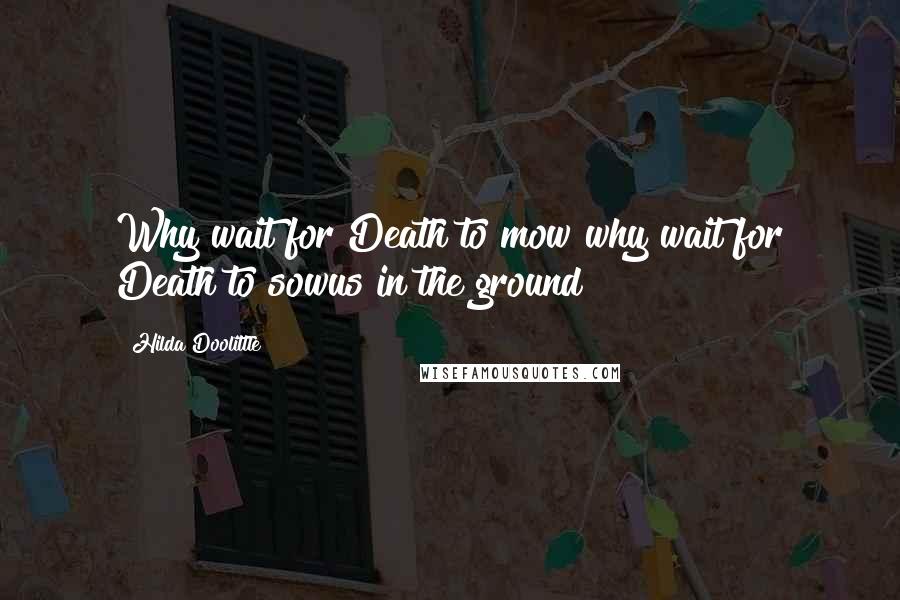 Hilda Doolittle Quotes: Why wait for Death to mow?why wait for Death to sowus in the ground?