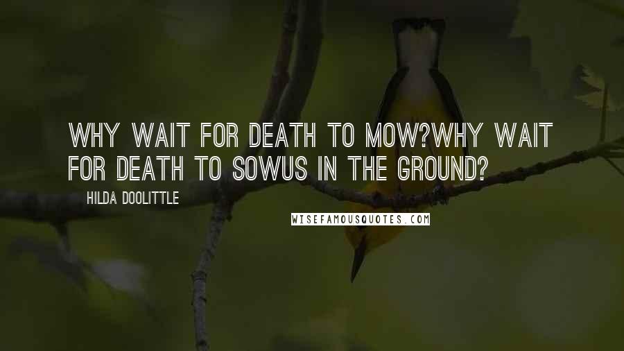 Hilda Doolittle Quotes: Why wait for Death to mow?why wait for Death to sowus in the ground?