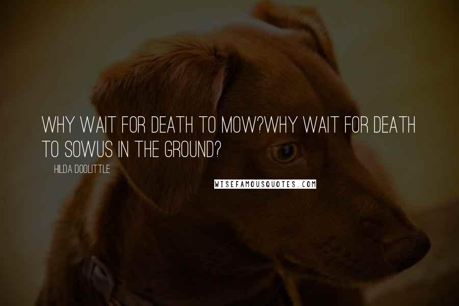 Hilda Doolittle Quotes: Why wait for Death to mow?why wait for Death to sowus in the ground?