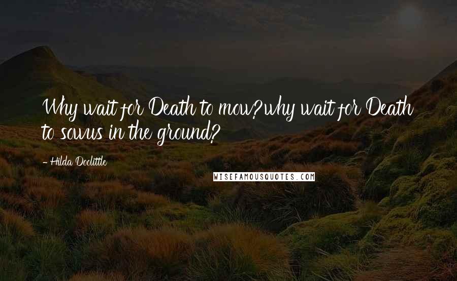 Hilda Doolittle Quotes: Why wait for Death to mow?why wait for Death to sowus in the ground?