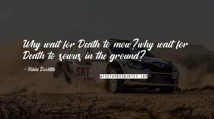 Hilda Doolittle Quotes: Why wait for Death to mow?why wait for Death to sowus in the ground?