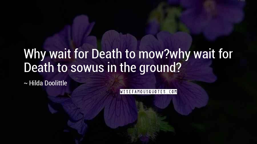 Hilda Doolittle Quotes: Why wait for Death to mow?why wait for Death to sowus in the ground?