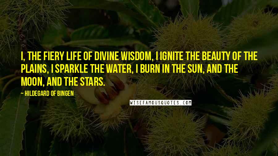 Hildegard Of Bingen Quotes: I, the fiery life of divine wisdom, I ignite the beauty of the plains, I sparkle the water, I burn in the sun, and the moon, and the stars.