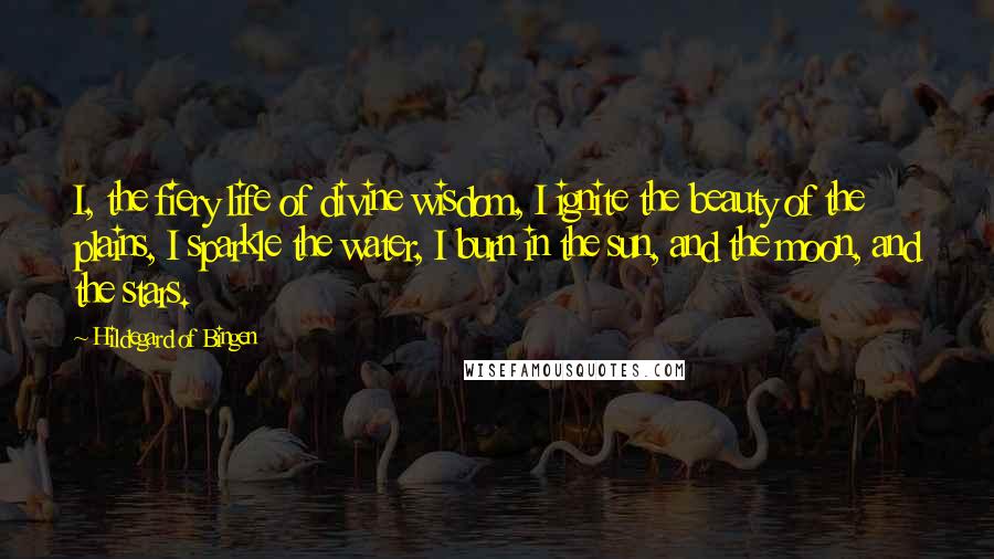 Hildegard Of Bingen Quotes: I, the fiery life of divine wisdom, I ignite the beauty of the plains, I sparkle the water, I burn in the sun, and the moon, and the stars.