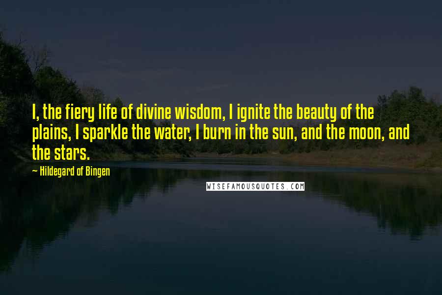 Hildegard Of Bingen Quotes: I, the fiery life of divine wisdom, I ignite the beauty of the plains, I sparkle the water, I burn in the sun, and the moon, and the stars.