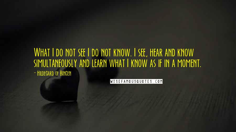 Hildegard Of Bingen Quotes: What I do not see I do not know. I see, hear and know simultaneously and learn what I know as if in a moment.