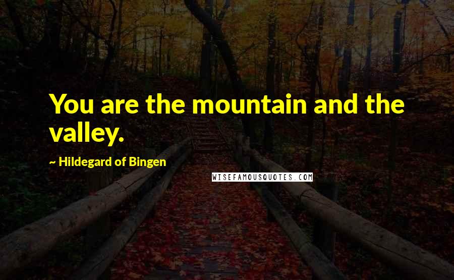 Hildegard Of Bingen Quotes: You are the mountain and the valley.