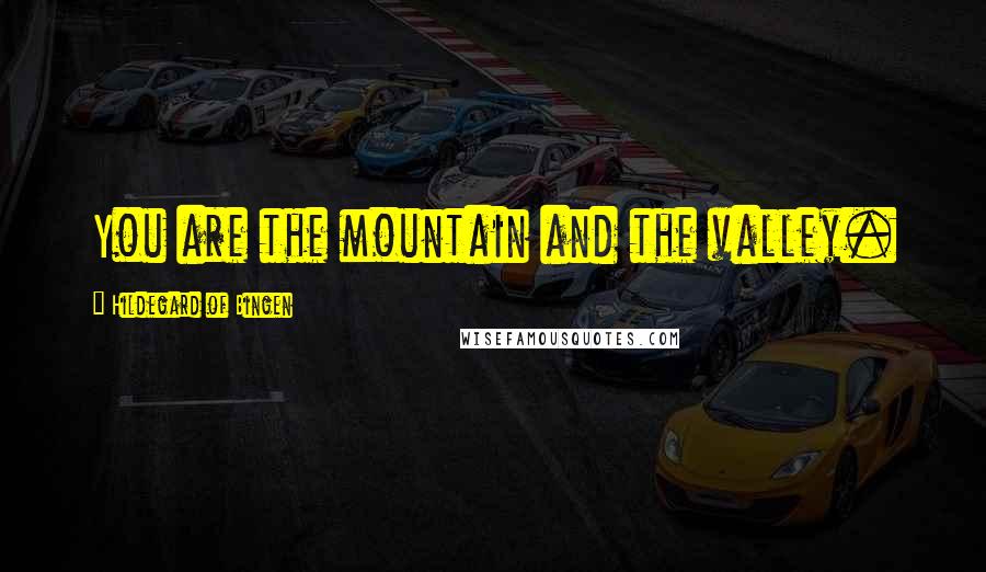 Hildegard Of Bingen Quotes: You are the mountain and the valley.