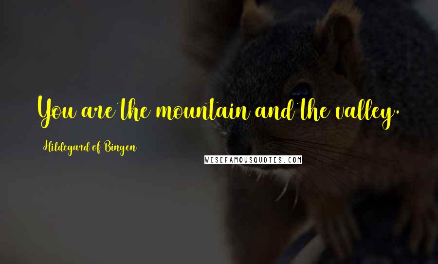 Hildegard Of Bingen Quotes: You are the mountain and the valley.