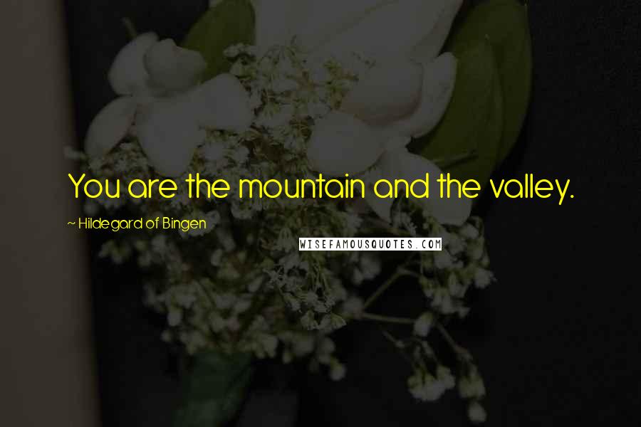 Hildegard Of Bingen Quotes: You are the mountain and the valley.