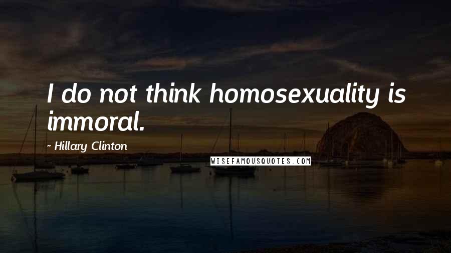 Hillary Clinton Quotes: I do not think homosexuality is immoral.