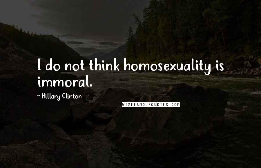 Hillary Clinton Quotes: I do not think homosexuality is immoral.