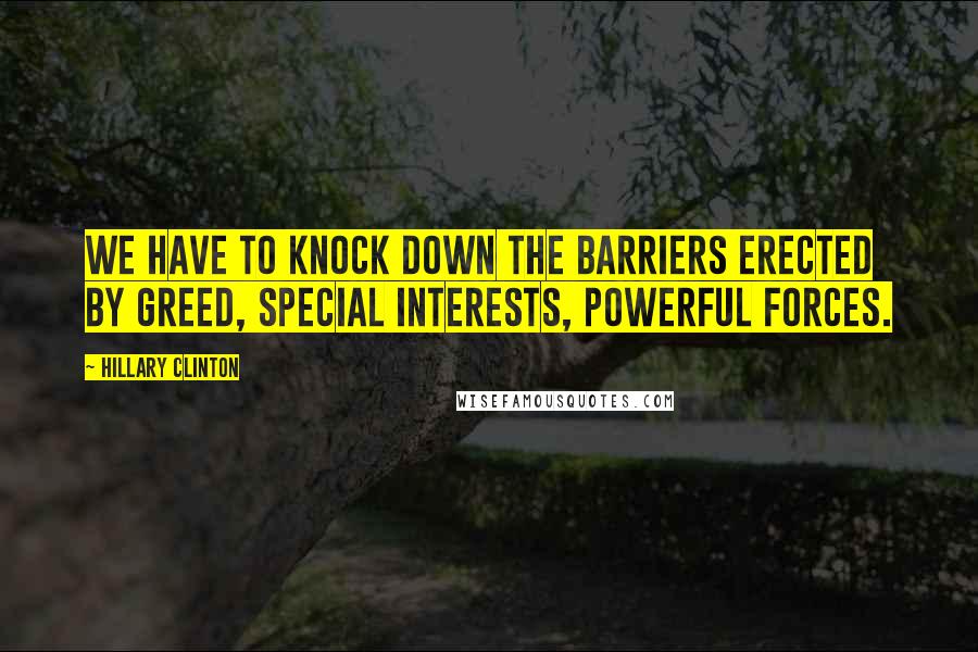 Hillary Clinton Quotes: We have to knock down the barriers erected by greed, special interests, powerful forces.
