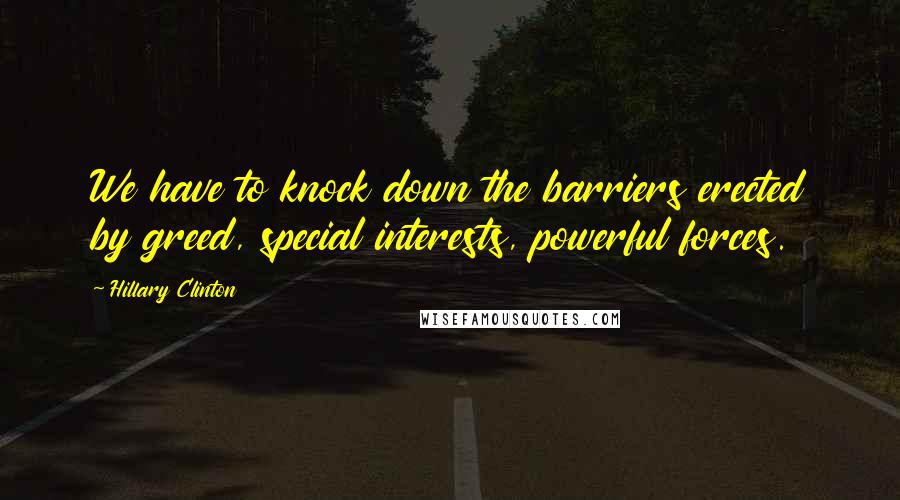 Hillary Clinton Quotes: We have to knock down the barriers erected by greed, special interests, powerful forces.