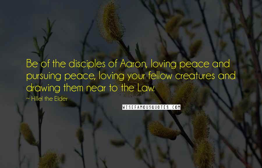 Hillel The Elder Quotes: Be of the disciples of Aaron, loving peace and pursuing peace, loving your fellow creatures and drawing them near to the Law.