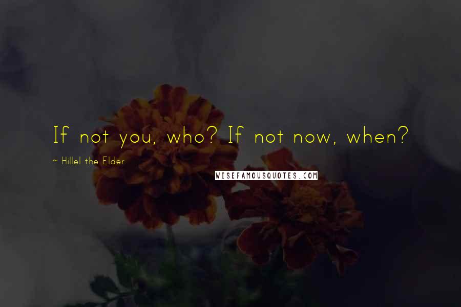 Hillel The Elder Quotes: If not you, who? If not now, when?