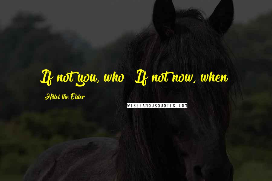 Hillel The Elder Quotes: If not you, who? If not now, when?