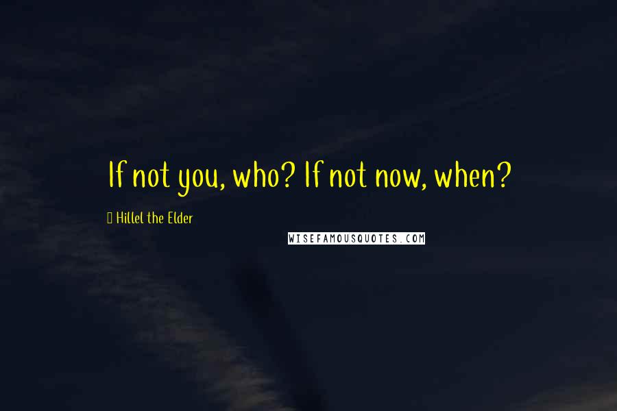 Hillel The Elder Quotes: If not you, who? If not now, when?