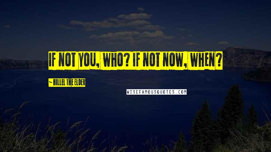 Hillel The Elder Quotes: If not you, who? If not now, when?