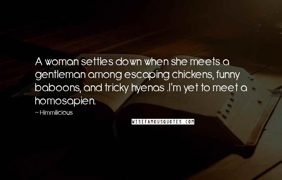 Himmilicious Quotes: A woman settles down when she meets a gentleman among escaping chickens, funny baboons, and tricky hyenas .I'm yet to meet a homosapien.