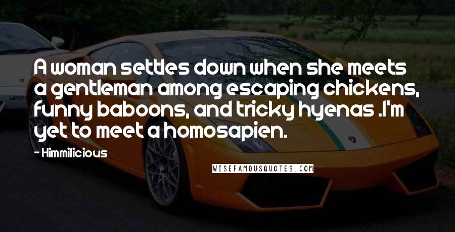 Himmilicious Quotes: A woman settles down when she meets a gentleman among escaping chickens, funny baboons, and tricky hyenas .I'm yet to meet a homosapien.