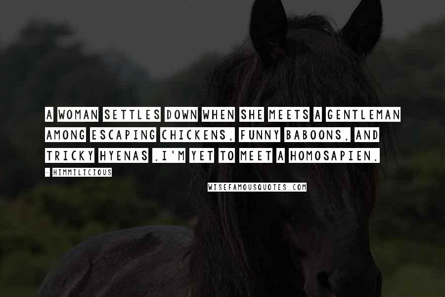 Himmilicious Quotes: A woman settles down when she meets a gentleman among escaping chickens, funny baboons, and tricky hyenas .I'm yet to meet a homosapien.