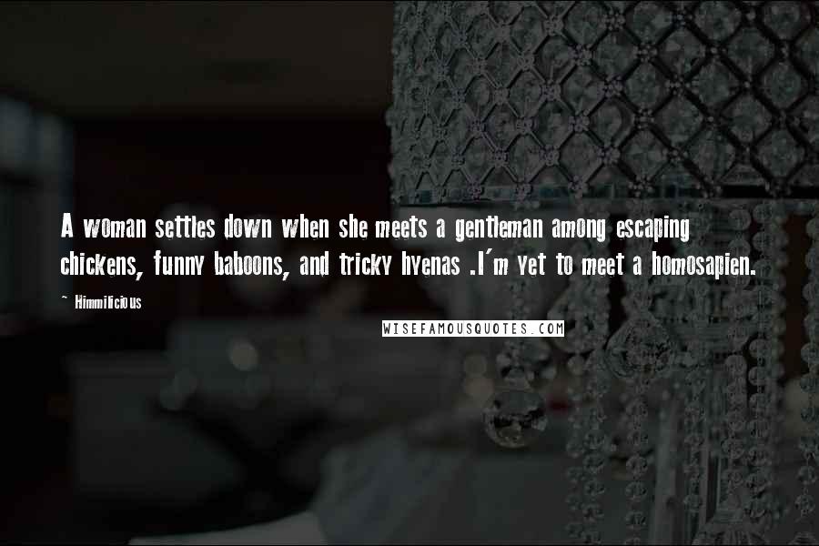 Himmilicious Quotes: A woman settles down when she meets a gentleman among escaping chickens, funny baboons, and tricky hyenas .I'm yet to meet a homosapien.