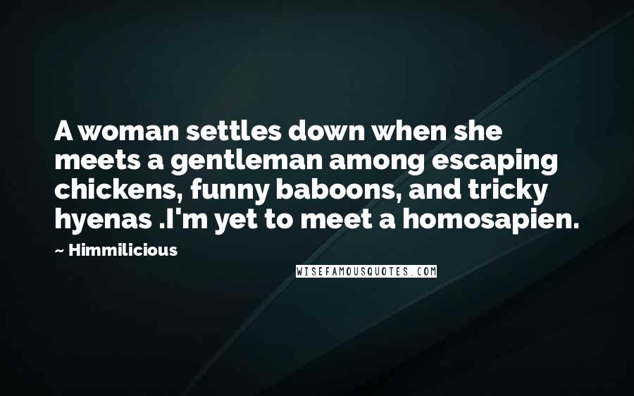 Himmilicious Quotes: A woman settles down when she meets a gentleman among escaping chickens, funny baboons, and tricky hyenas .I'm yet to meet a homosapien.
