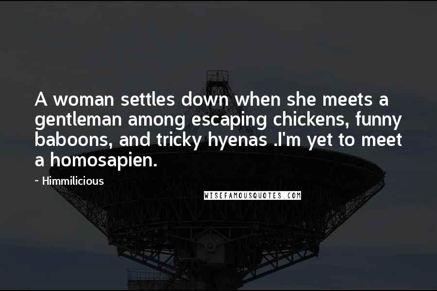 Himmilicious Quotes: A woman settles down when she meets a gentleman among escaping chickens, funny baboons, and tricky hyenas .I'm yet to meet a homosapien.