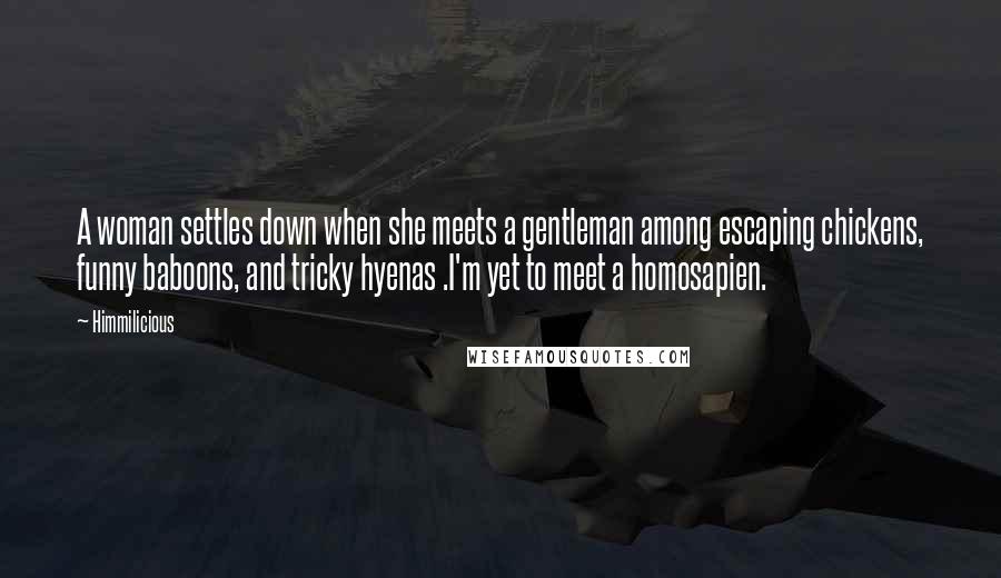 Himmilicious Quotes: A woman settles down when she meets a gentleman among escaping chickens, funny baboons, and tricky hyenas .I'm yet to meet a homosapien.