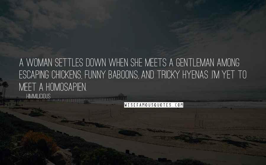 Himmilicious Quotes: A woman settles down when she meets a gentleman among escaping chickens, funny baboons, and tricky hyenas .I'm yet to meet a homosapien.