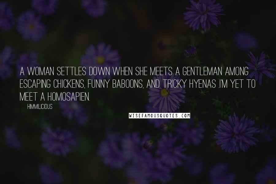 Himmilicious Quotes: A woman settles down when she meets a gentleman among escaping chickens, funny baboons, and tricky hyenas .I'm yet to meet a homosapien.