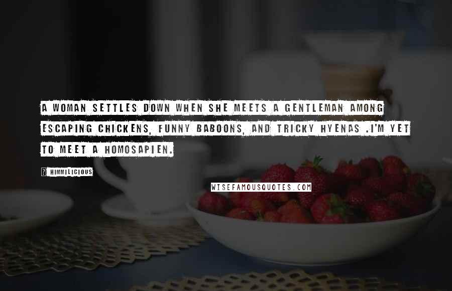 Himmilicious Quotes: A woman settles down when she meets a gentleman among escaping chickens, funny baboons, and tricky hyenas .I'm yet to meet a homosapien.