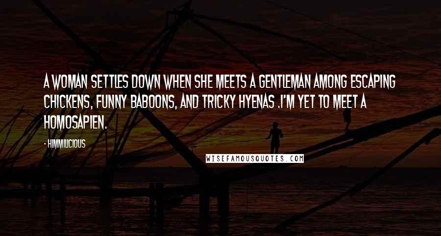 Himmilicious Quotes: A woman settles down when she meets a gentleman among escaping chickens, funny baboons, and tricky hyenas .I'm yet to meet a homosapien.