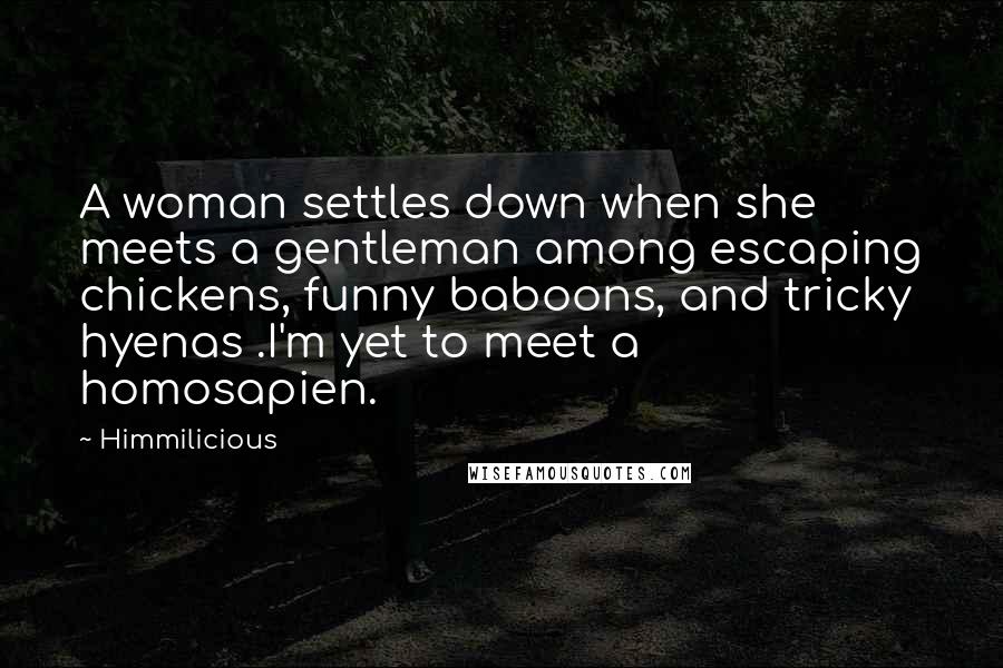 Himmilicious Quotes: A woman settles down when she meets a gentleman among escaping chickens, funny baboons, and tricky hyenas .I'm yet to meet a homosapien.