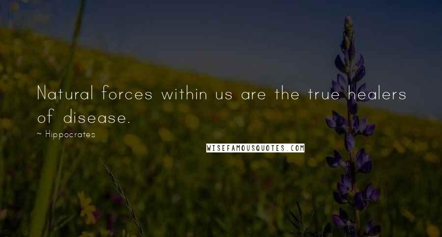 Hippocrates Quotes: Natural forces within us are the true healers of disease.