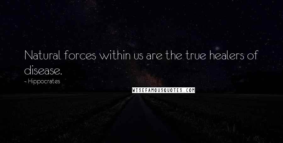 Hippocrates Quotes: Natural forces within us are the true healers of disease.