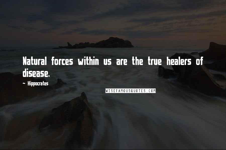 Hippocrates Quotes: Natural forces within us are the true healers of disease.