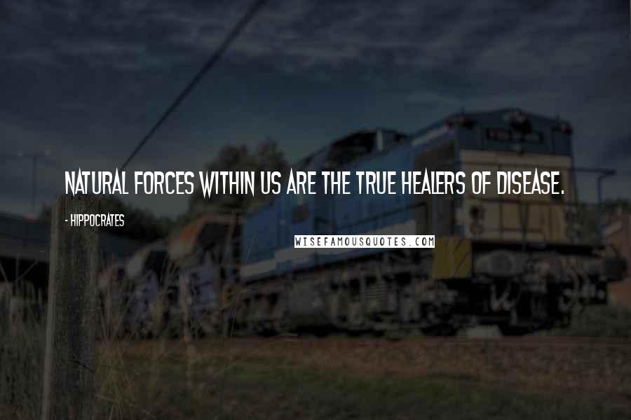 Hippocrates Quotes: Natural forces within us are the true healers of disease.