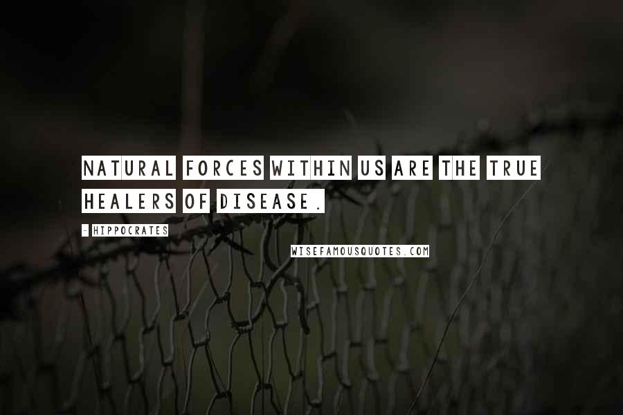 Hippocrates Quotes: Natural forces within us are the true healers of disease.