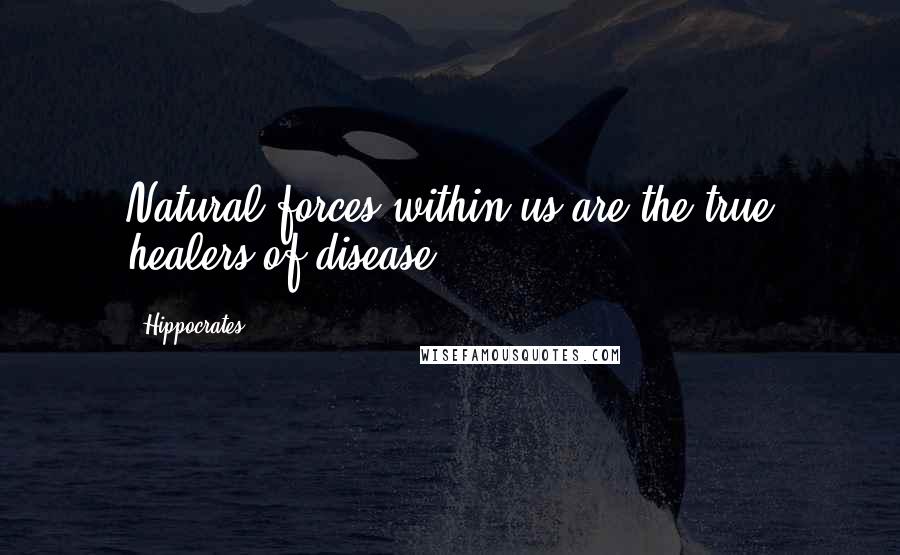 Hippocrates Quotes: Natural forces within us are the true healers of disease.