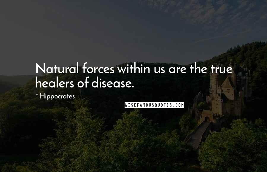 Hippocrates Quotes: Natural forces within us are the true healers of disease.