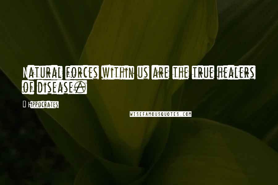 Hippocrates Quotes: Natural forces within us are the true healers of disease.