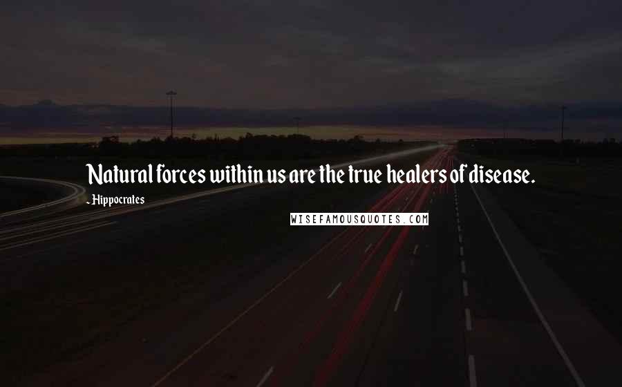 Hippocrates Quotes: Natural forces within us are the true healers of disease.